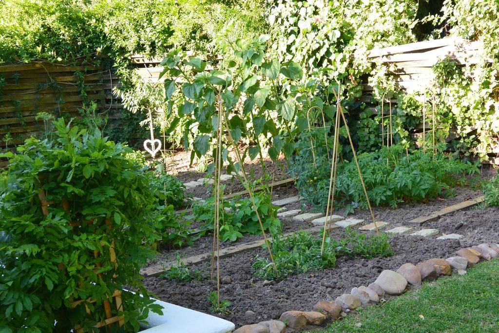 The Cottage On 55 Franschhoek Luaran gambar